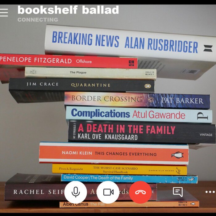 Promotional picture for Bookshelf Ballad