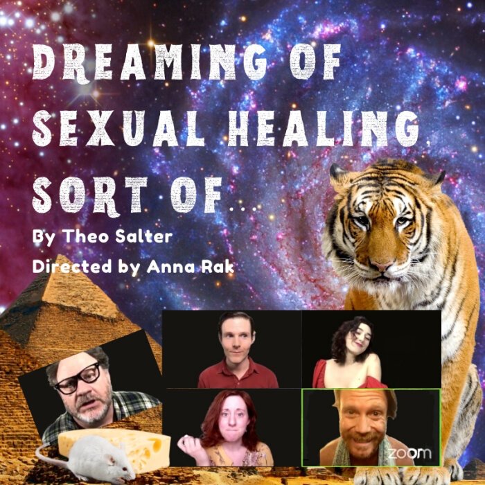 Promotional picture for Dreaming of Sexual Healing, Sort Of...