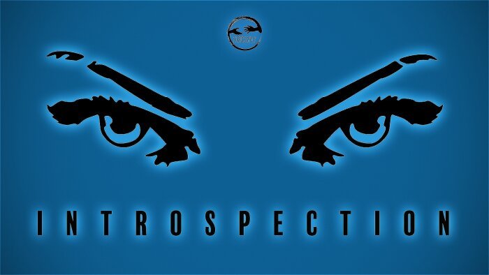 Promotional picture for Introspection