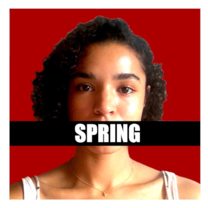 Promotional picture for Spring